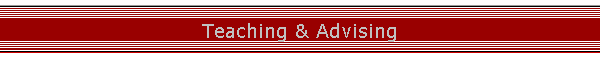 Teaching & Advising