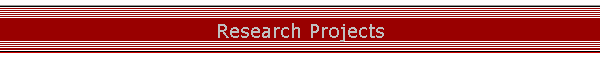 Research Projects